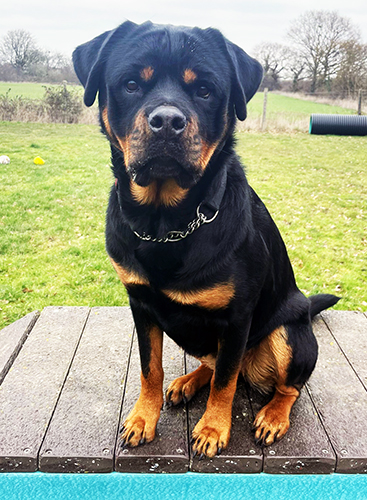 Ruby